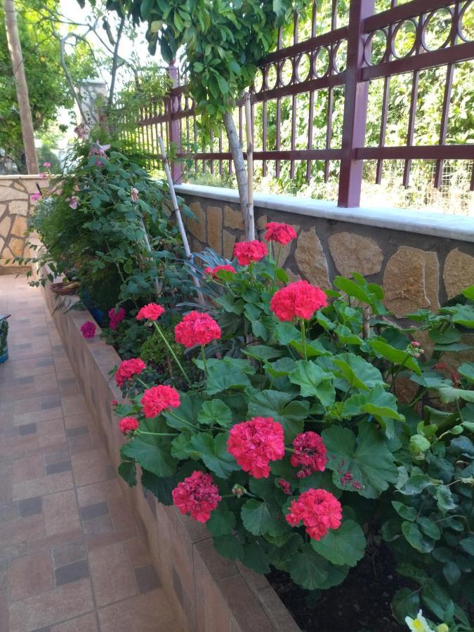 B&B One Vonitsa Exterior foto